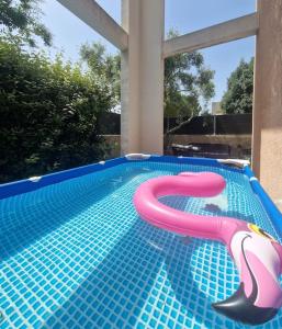 ein Schwimmbad mit einer Plastikschlange in der Mitte in der Unterkunft Bel appartement avec jardin in Aix-en-Provence