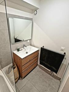 ein Bad mit einem Waschbecken, einem Spiegel und einer Dusche in der Unterkunft Bel appartement avec jardin in Aix-en-Provence