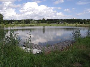 a lake with a wooden dock in the middle of it at Agroturystyka Oczko in Ogonki