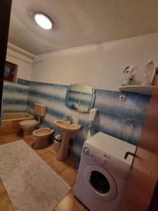 a bathroom with a washing machine and a toilet at Zlata Apartment in Fužine