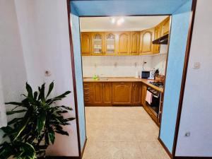 a small kitchen with wooden cabinets and a plant in the doorway at Zlata Apartment in Fužine