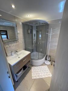 a bathroom with a shower and a sink and a toilet at Apartma Devs in Kranjska Gora