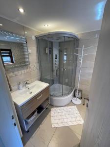 克拉尼斯卡戈拉Apartma Devs的带淋浴、水槽和马桶的浴室 更多18张照片