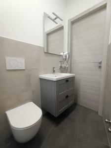 a bathroom with a toilet and a sink and a mirror at Parea House 3 in Milan