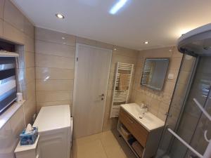 a bathroom with a sink and a toilet and a mirror at Apartma Devs in Kranjska Gora