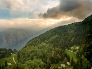 Elle offre une vue sur une vallée avec des arbres et une rivière. dans l'établissement Chalet Bohinj, à Bohinj