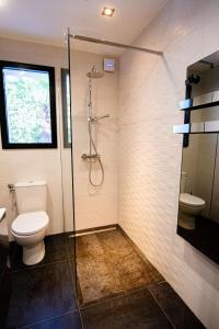 uma casa de banho com um WC e uma cabina de duche em vidro. em Appartement de caractère avec Jacuzzi em Fréjus