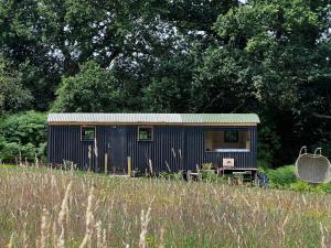 a black shed sitting in the middle of a field at Hop and hare farm in Hastings