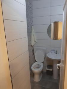 uma casa de banho com um WC e um lavatório em Apartman Sema em Donji Štoj