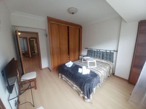 1 dormitorio con 1 cama, 1 silla y TV en APARTAMENTO VIGO CAMELIAS CENTRO, en Vigo