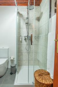 a bathroom with a glass shower with a toilet at Aldeia da Cuada in Faja Grande