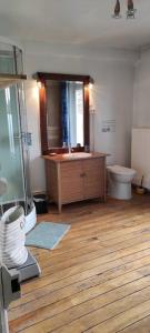 a bathroom with a shower and a sink and a toilet at Moulin des Prés - 15 couchages - 1h15 des Jeux Olympiques PARIS 2024 in Croissy-sur-Celle