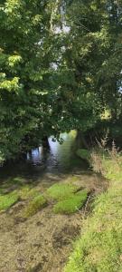 a body of water with trees and a river at Moulin des Prés - 15 couchages - 1h15 des Jeux Olympiques PARIS 2024 in Croissy-sur-Celle