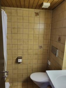 La salle de bains est pourvue de toilettes et d'un lavabo. dans l'établissement Hotel Stadthof Glarus, à Glarus