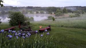 a field with two picnic tables and purple flowers at Agroturystyka Oczko in Ogonki +5 photos