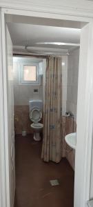 a bathroom with a toilet and a shower curtain at Marianna's apartment 2 in Nea Moudania +13 photos