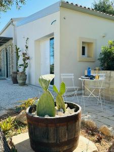 een cactustuin voor een huis bij Azalo Country House in Noto