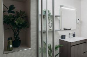 La salle de bains est pourvue d'un lavabo et d'un miroir. dans l'établissement Argus Dream Home, à Costa Nova