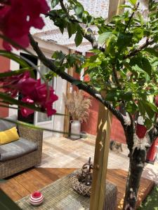 a vase with a tree in a living room at SUITE 785 Chambre Jacuzzi Sauna in Montauban