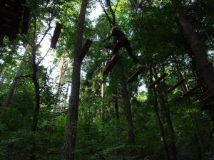 Gallery image of Dom Turysty Pod Wieżycą in Sobótka