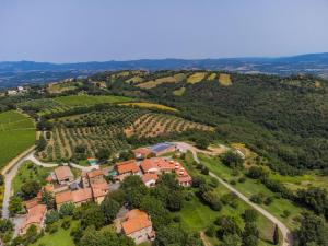 an aerial view of a house in a vineyard at Holiday Home Ciliegiolo by Interhome in Cinigiano