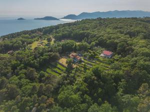 Vue aérienne d'une maison sur une colline arborée dans l'établissement Holiday Home Casa Marepietra by Interhome, à Ameglia