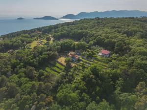an aerial view of a house on a hill with trees at Holiday Home Casa Marepietra by Interhome in Ameglia