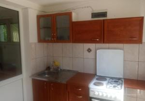 a kitchen with a white stove and a sink at гостевой дом Polina2 in (( Gornji Sušanj ))