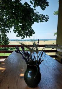 a vase sitting on a table with flowers in it at Počitniška hiša Car in Dobrovnik