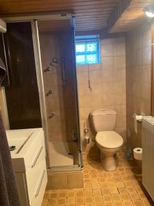 a bathroom with a toilet and a shower at Gästehaus Hammersbach in Hammersbach