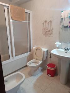 a bathroom with a toilet and a sink at Albergue Camiño Real in Sigüeiro