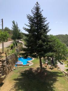 un árbol y una piscina en un patio en Casa Rural Sant Petrus de Madrona, en Pinell de Solsonès