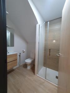 a bathroom with a toilet and a glass shower at El Nogal Home in Málaga
