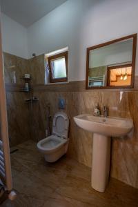 W łazience znajduje się umywalka, toaleta i lustro. w obiekcie Theth Kompleksi Gjoni w mieście Theth