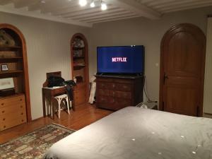TV a/nebo společenská místnost v ubytování Chez-Sixtine