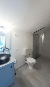 ein Bad mit einem WC, einem Waschbecken und einer Dusche in der Unterkunft La Piticu in Dubova