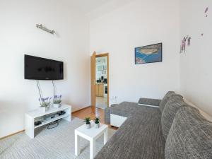 Una sala de estar con un sofá y un televisor de pantalla plana. en Holiday Home Labin by Interhome, en Labin