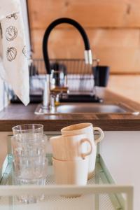 a glass shelf with two cups and a sink at Kiry 9 - pokoje i apartamenty in Kościelisko