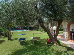 zwei Stühle und ein Baum im Hof in der Unterkunft Villa Bouganville by Interhome in Bibbona