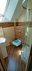 a bathroom with a glass shower and a toilet at Pokoje pod Dębem Grzybowo in Grzybowo