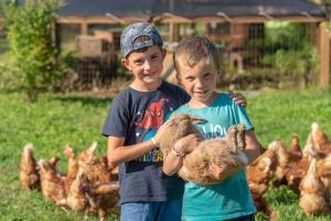 dos chicos sosteniendo un pollo delante de un grupo de pollos en Camping Agrisalus, en Arco