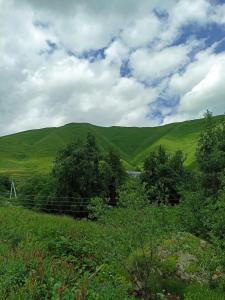 a green field with trees and hills in the background at MOUNTAIN HOUSE in Roshka