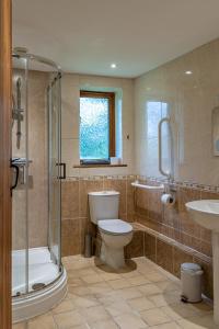 La salle de bains est pourvue de toilettes, d'une douche et d'un lavabo. dans l'établissement Cart Lodge - Holly Tree Barns, à Halesworth