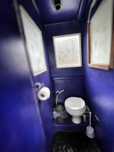 a small bathroom with a toilet and a blue wall at Baby Blue Houseboat in Port Edward