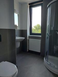 La salle de bains est pourvue de toilettes, d'un lavabo et d'une fenêtre. dans l'établissement Casa Maria City Apartments, à Timişoara