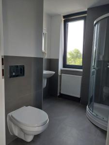a bathroom with a toilet and a sink and a window at Casa Maria City Apartments in Timişoara