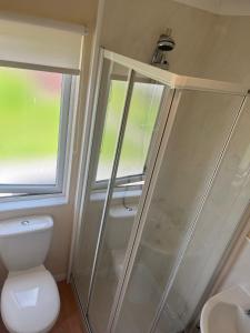 a shower in a bathroom with a toilet and a window at Wendy Lodge- Chalet Cottage in Padstow