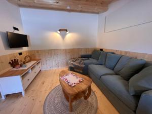 TV a/nebo společenská místnost v ubytování Holiday Home Hettegg Lehen by Interhome