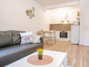 Kuchyňa alebo kuchynka v ubytovaní Apartment Jáchymov Magdaléna by Interhome