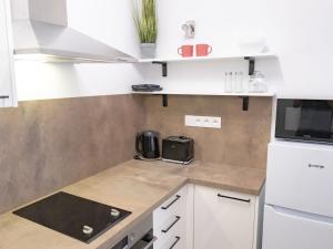 Kuchyňa alebo kuchynka v ubytovaní Apartment Jáchymov Magdaléna by Interhome